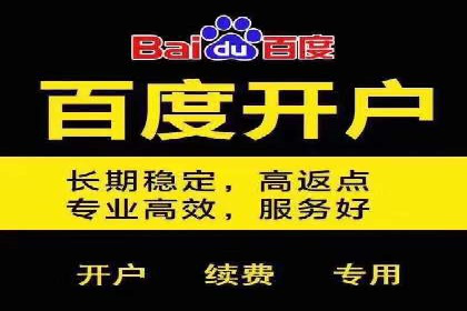 百度推广费用投入与品牌故事传播的案例分析